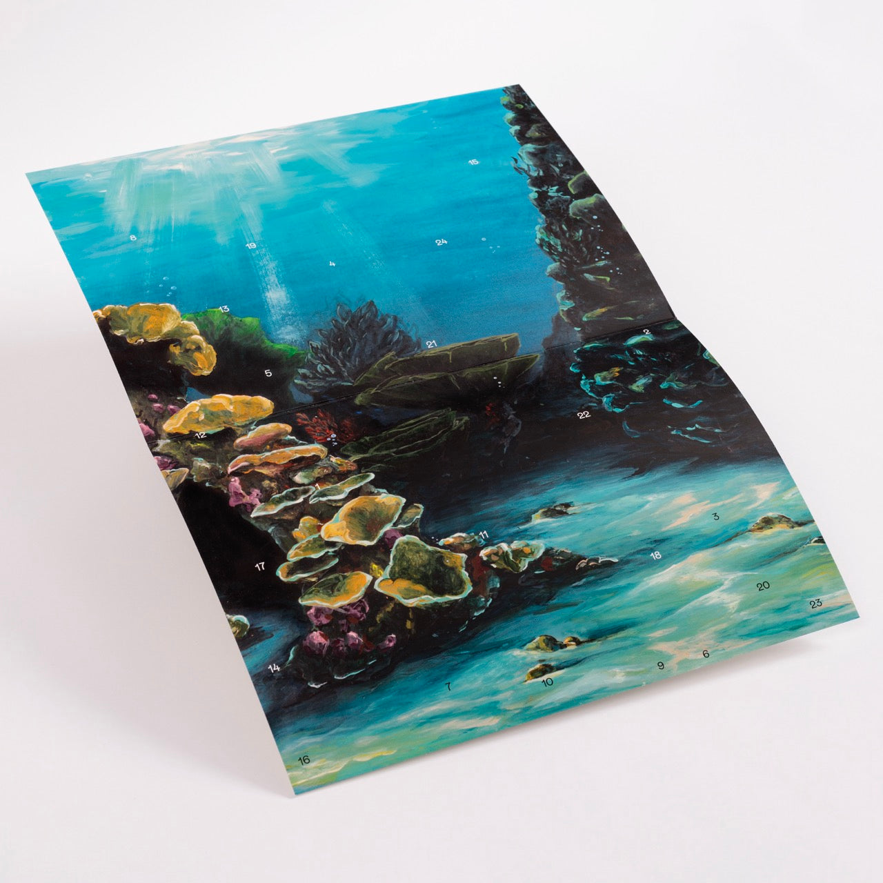 Eine farbenfrohe Illustration einer Unterwasserszene mit Korallenriffen und Sonnenlicht, das durch das Wasser strömt, gedruckt auf leicht gewölbtem Papier vor einem weißen Hintergrund. Kleine, nummerierte Türchen weisen darauf hin, dass es sich um einen Adventskalender handelt.