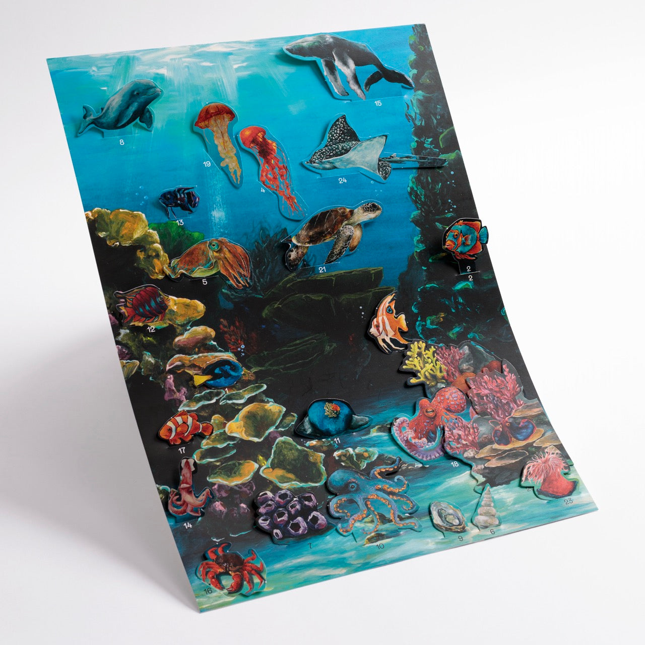 Auf einer farbenfrohen Tafel sind verschiedene Meerestiere abgebildet, darunter Fische, ein Delfin, Meeresschildkröten, Quallen, Rochen und Korallen, die vor einem Unterwasserhintergrund stehen.