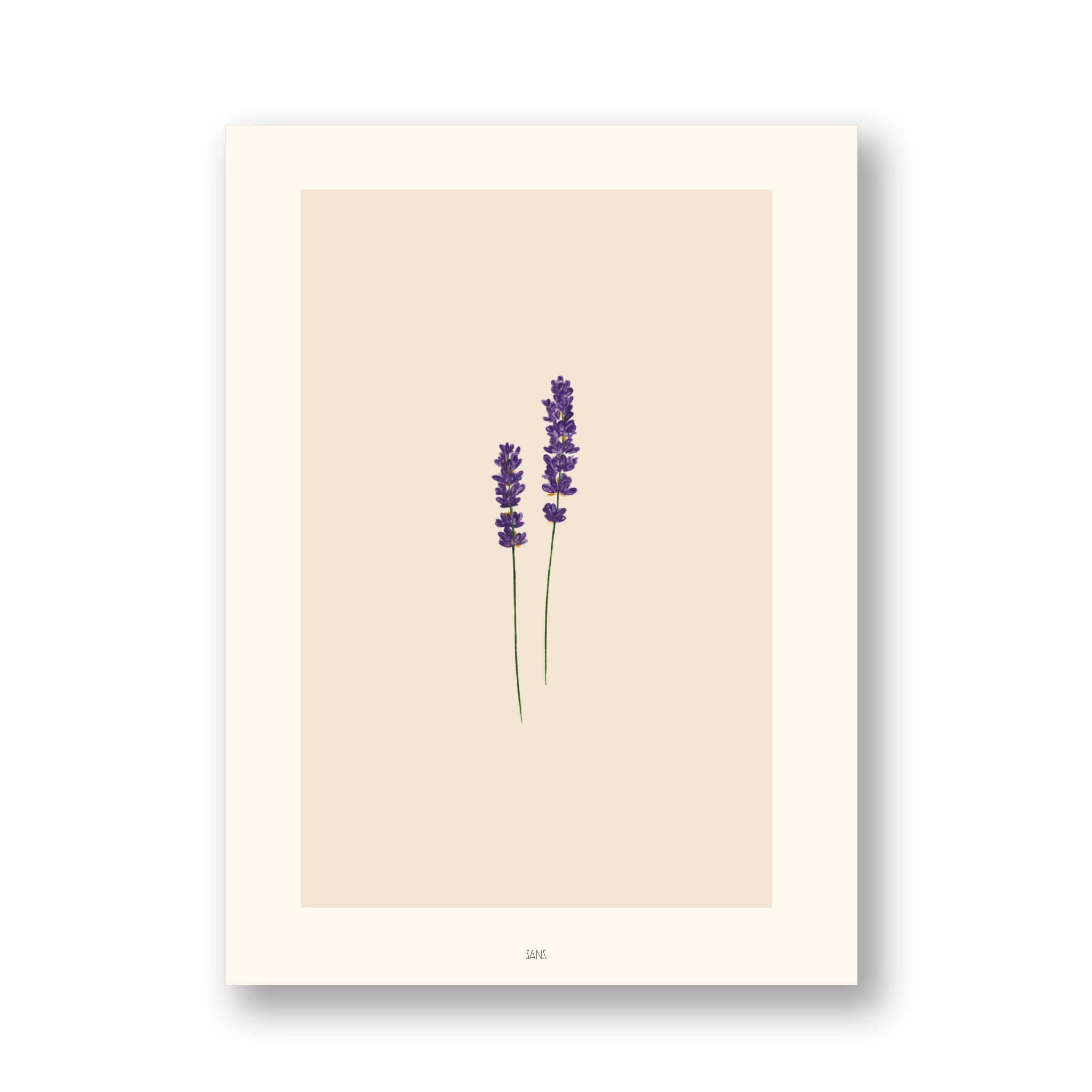Minimalistischer Kunstdruck von zwei Lavendelzweigen mit lila Blüten auf dünnen grünen Stielen, zentriert auf einem beigen Hintergrund mit breitem weißen Rand. Das Wort SAGE ist am unteren Rand aufgedruckt.