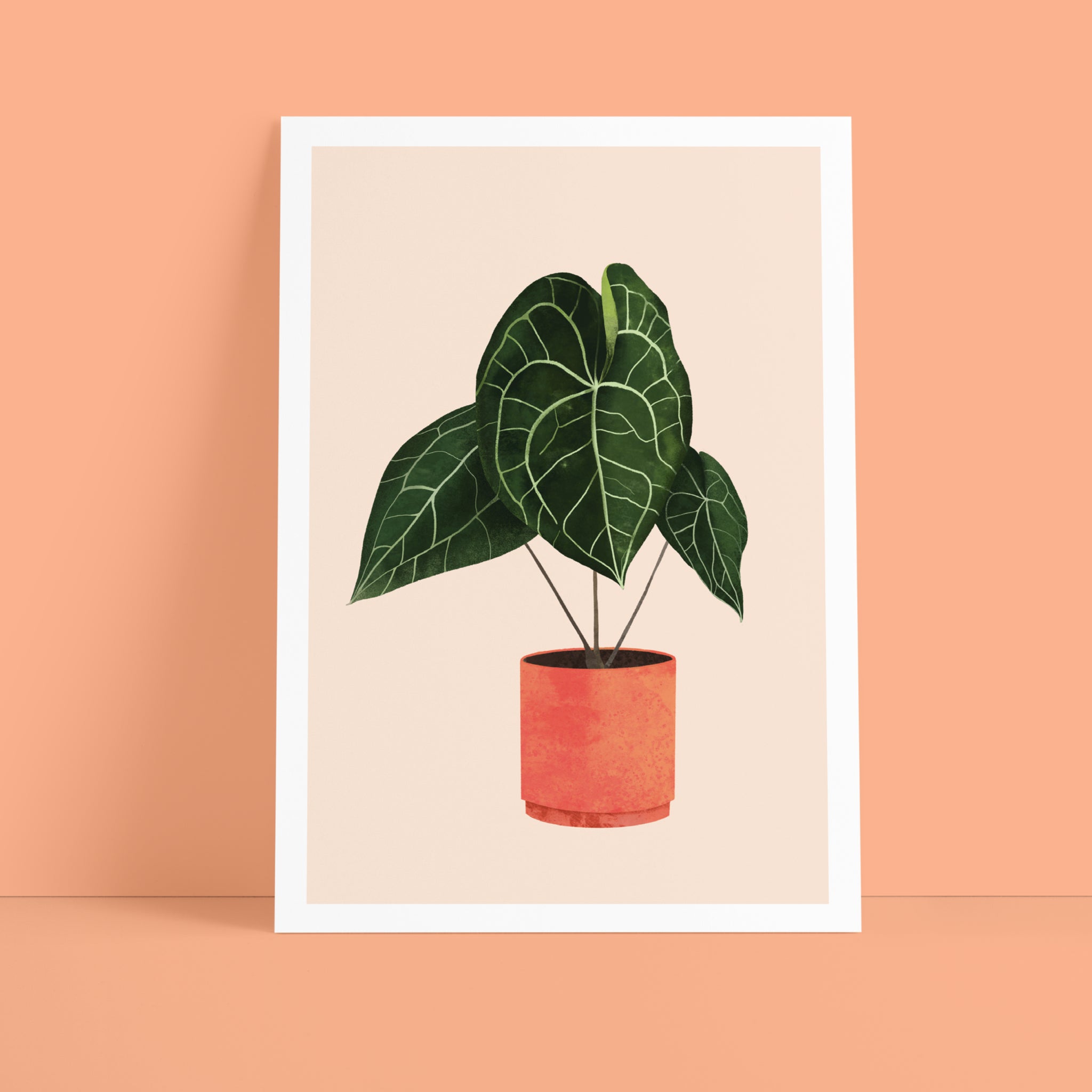 Eine gerahmte Illustration einer Topfpflanze mit großen grünen Blättern und weißen Adern vor einem hellbeigen Hintergrund auf einer pfirsichfarbenen Fläche und Wand.