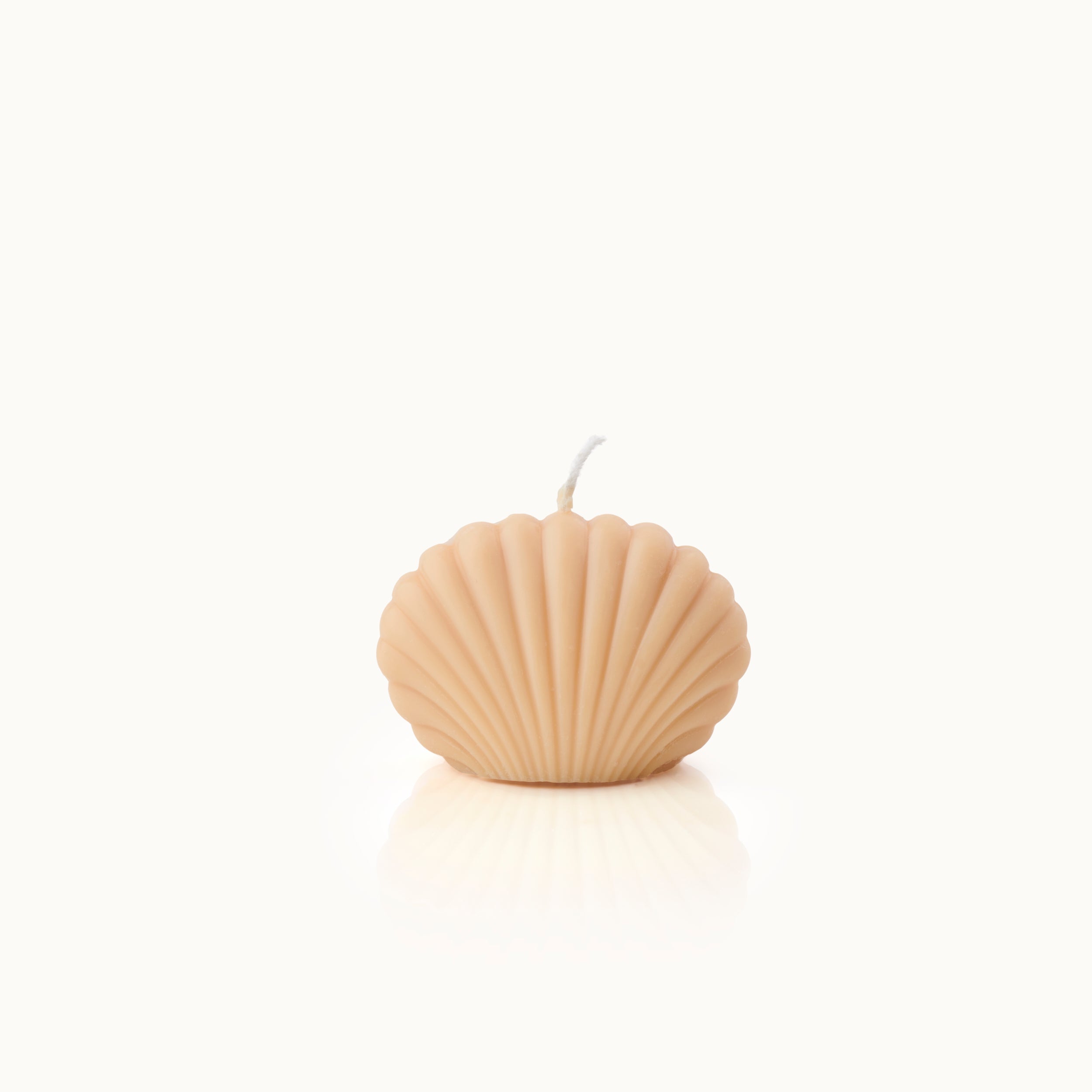 Eine beigefarbene, muschelförmige Kerze mit weißem Docht steht auf einem schlichten weißen Hintergrund und wirft eine sanfte Reflexion darunter.