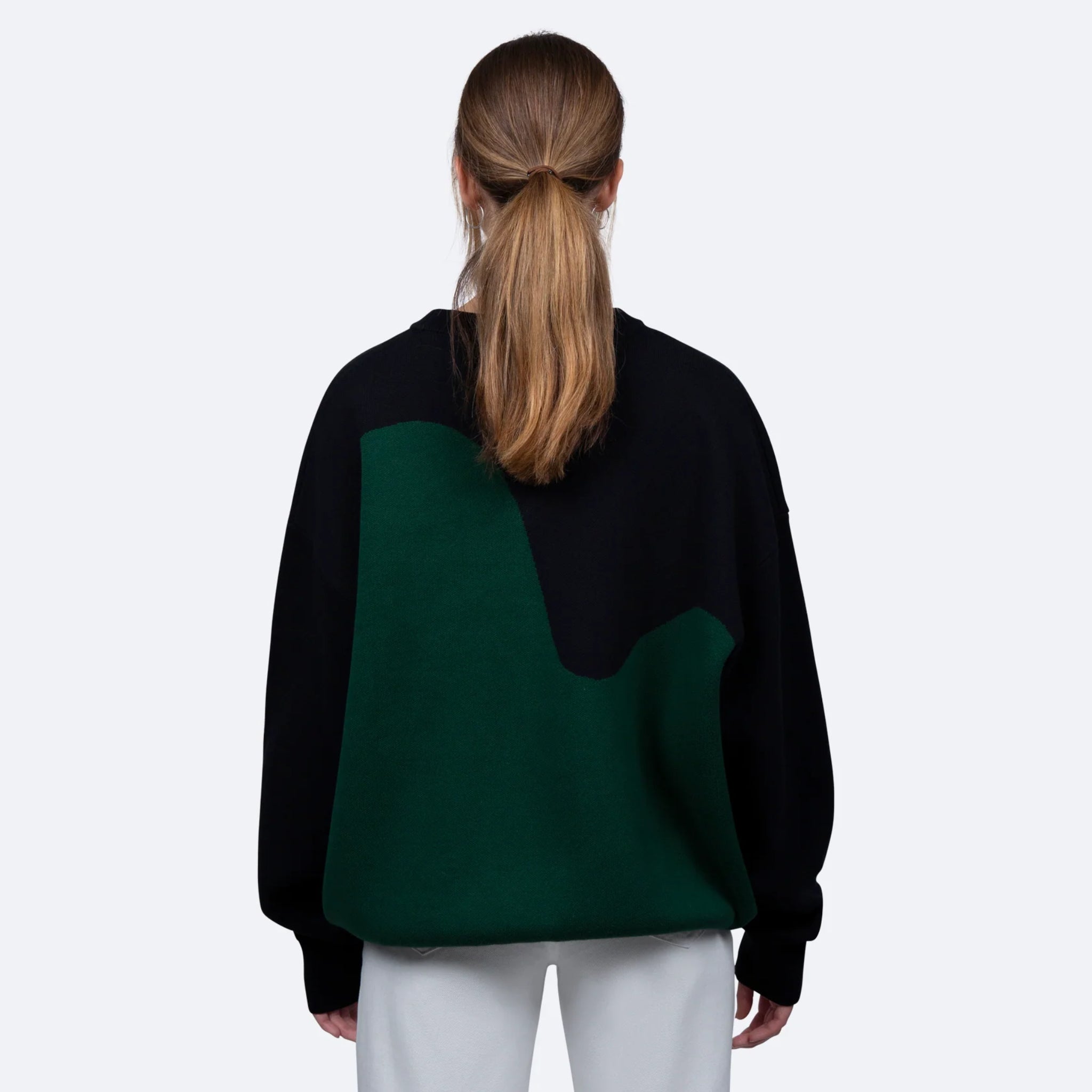 Eine Person mit langen Haaren, zum Pferdeschwanz gebunden, trägt einen schwarzen Pullover mit grünem Muster, von hinten gesehen.