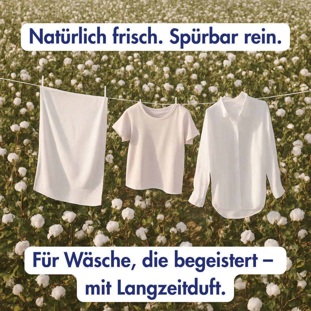 Drei weiße Kleidungsstücke hängen an einer Wäscheleine in einem Baumwollfeld im Sonnenlicht. Der deutsche Text lautet: Natürlich frisch. Spürbar rein. Für Wäsche, die begeistert - mit Langzeitduft.