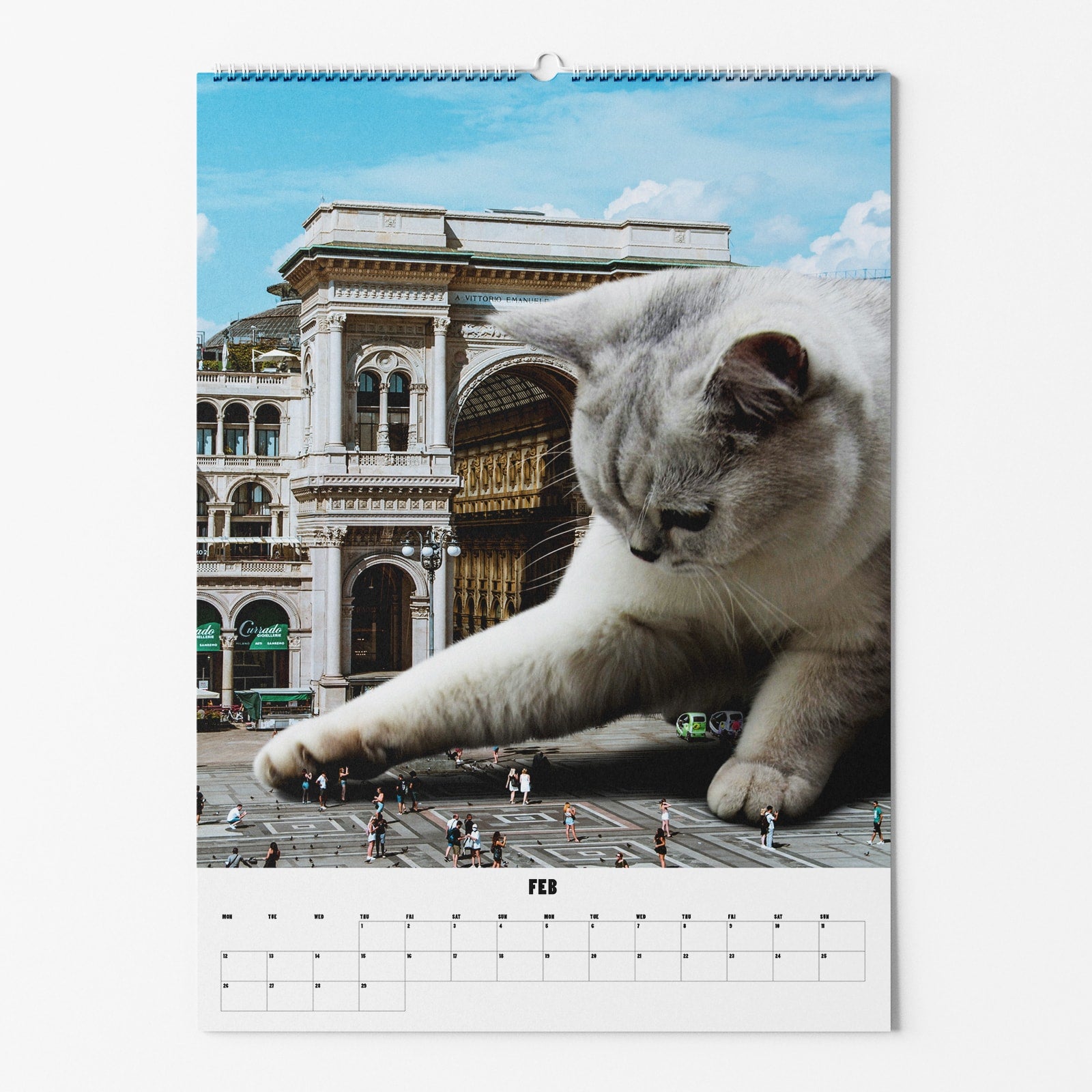 Große Katze vor einem historischen Gebäude, die mit einer Menschenmenge auf einem Kalenderblatt für Februar spielt.