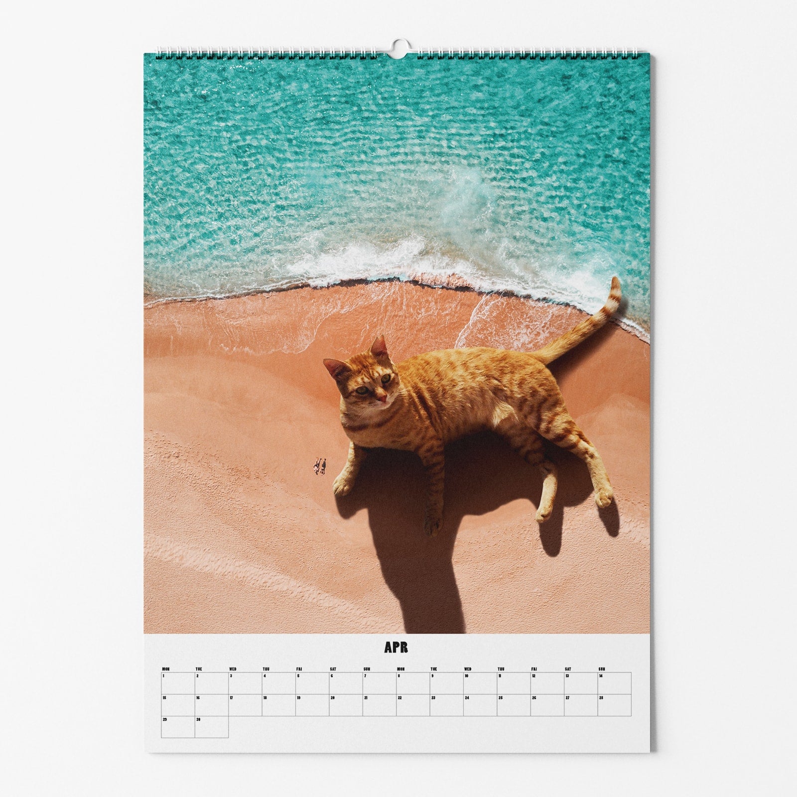 Kalenderseite für April mit einer großen Katze am Strand neben türkisfarbenem Wasser.
