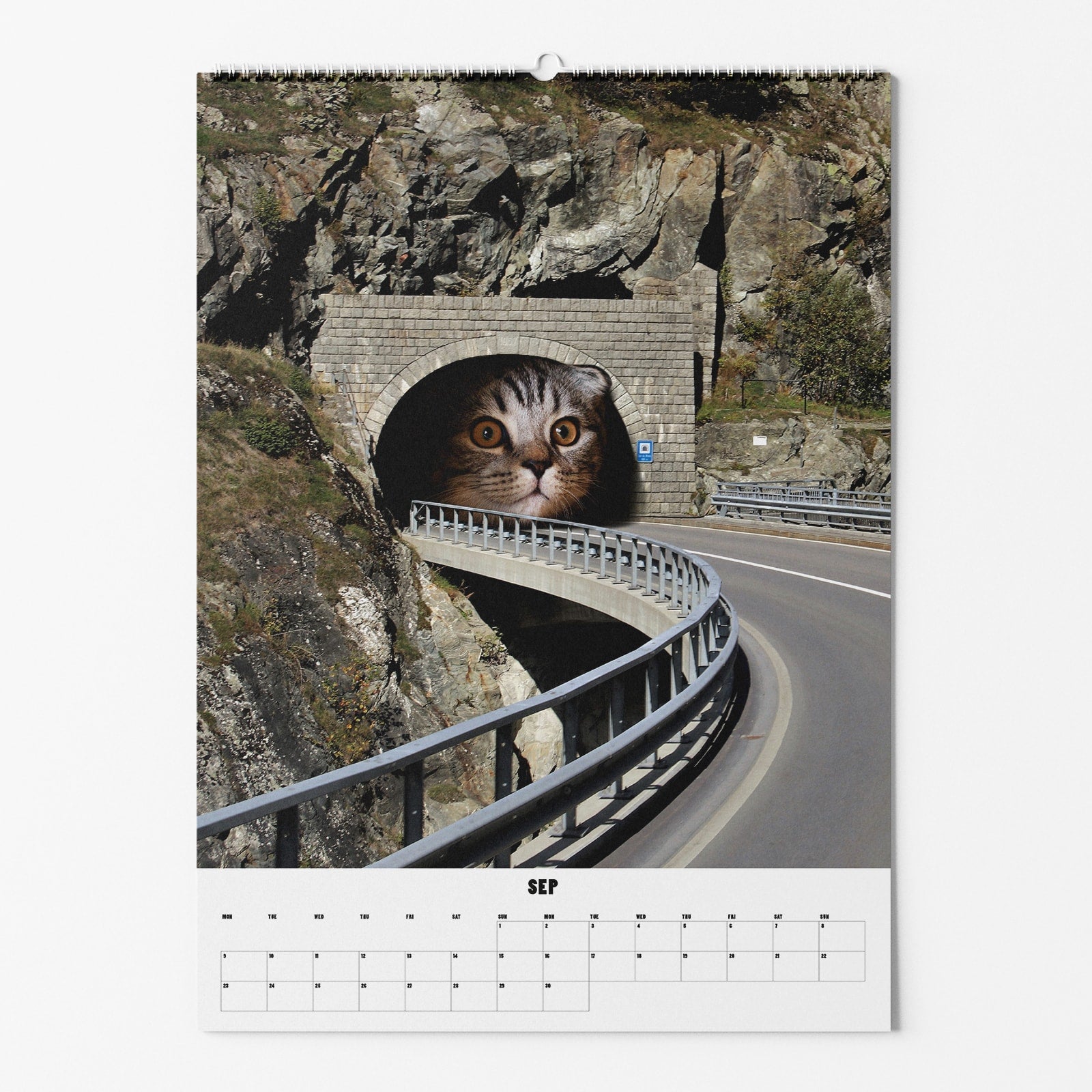 Kalenderblatt mit Foto eines Straßentunnels, aus dem ein riesiger Katzenkopf hervorschaut, mit September darunter.