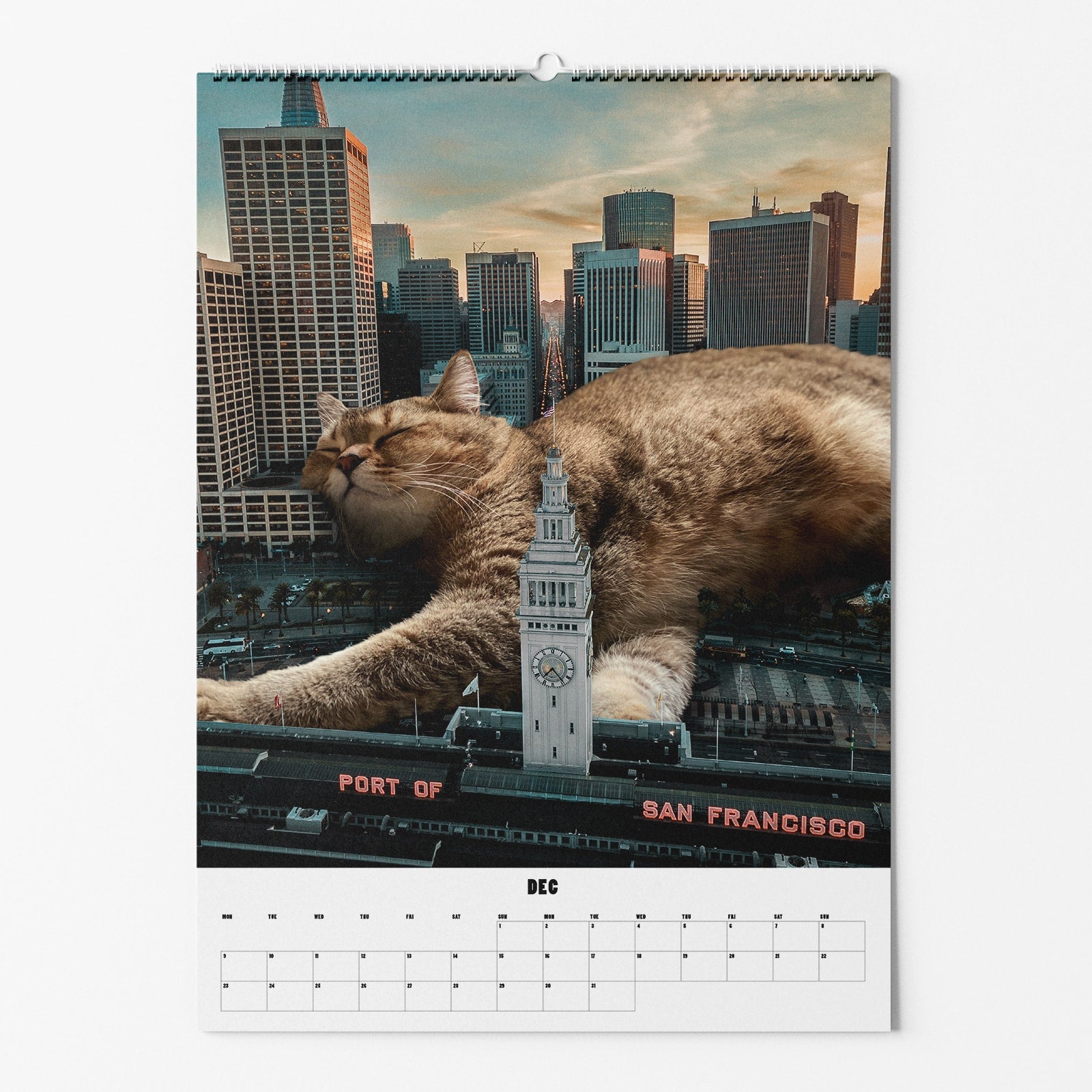 Schlafende Katze in überdimensionierter Größe auf einem Stadtbild von San Francisco, dargestellt auf einem Kalenderblatt.