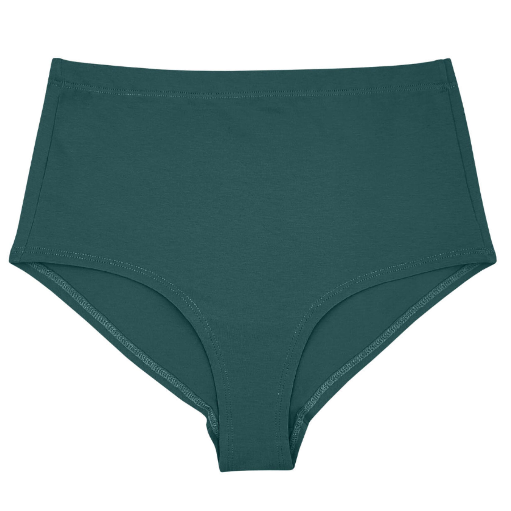 Tizz & Tonic "HI-WAIST" Panty
