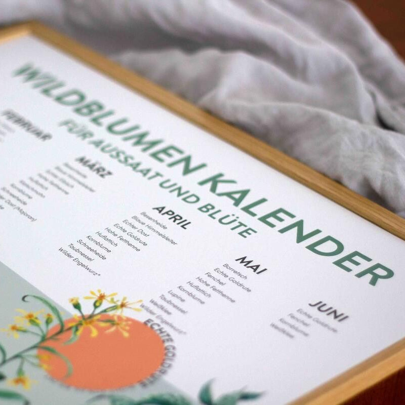 4peoplewhocare Saisonkalender Wildblumen für Aussat und Blüte A2