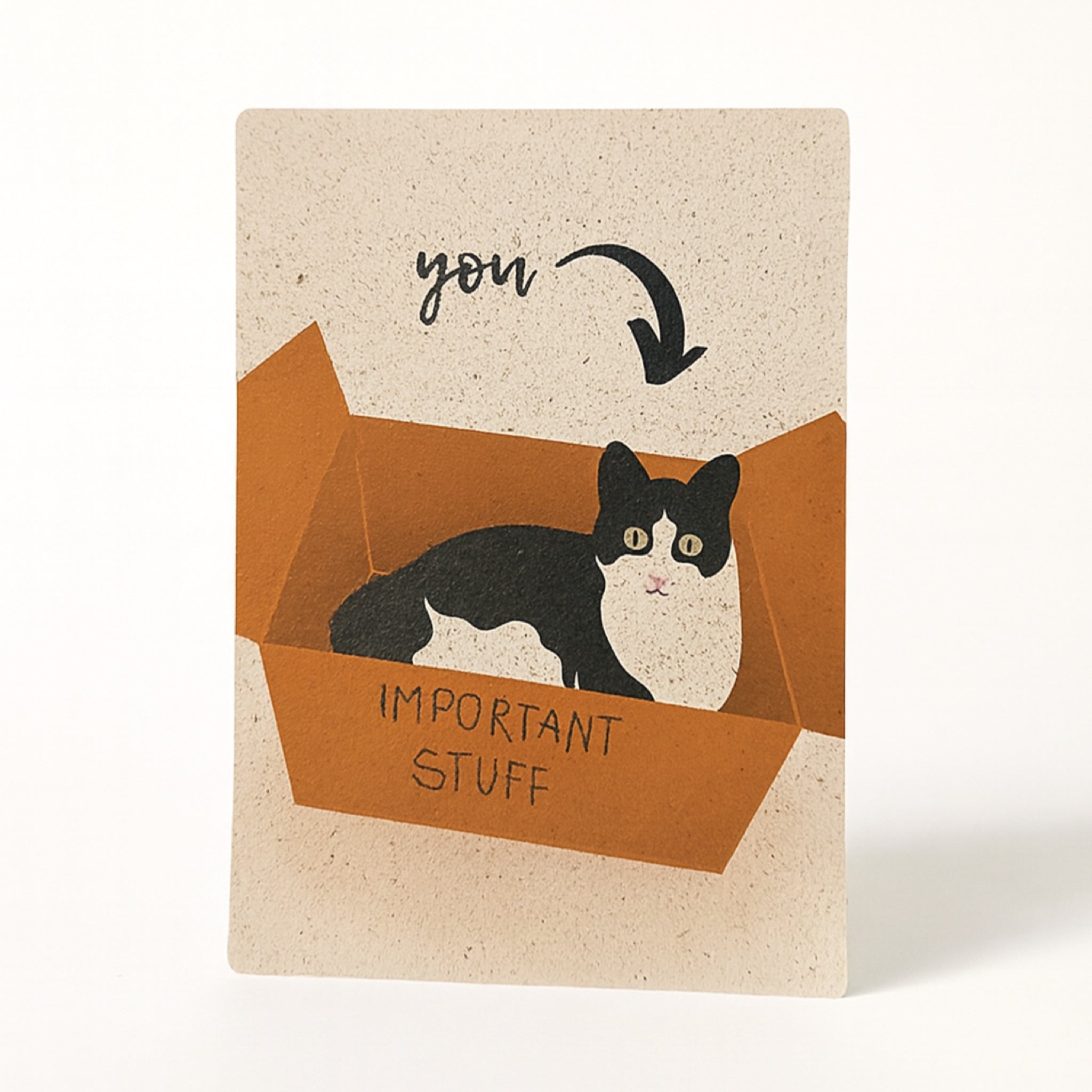 Illustration einer schwarz-weißen Katze, die in einer offenen braunen Schachtel mit der Aufschrift IMPORTANT STUFF sitzt. Ein Pfeil über der Katze zeigt mit dem handgeschriebenen Wort "you" nach unten, was darauf hindeutet, dass der Betrachter die wichtigen Dinge sind.
