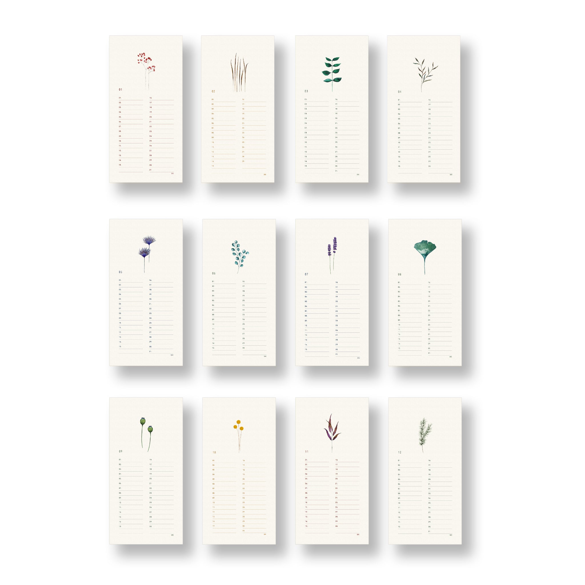 Zwölf minimalistische Kalenderblätter mit Pflanzenillustrationen, jeweils ein Blatt pro Monat.