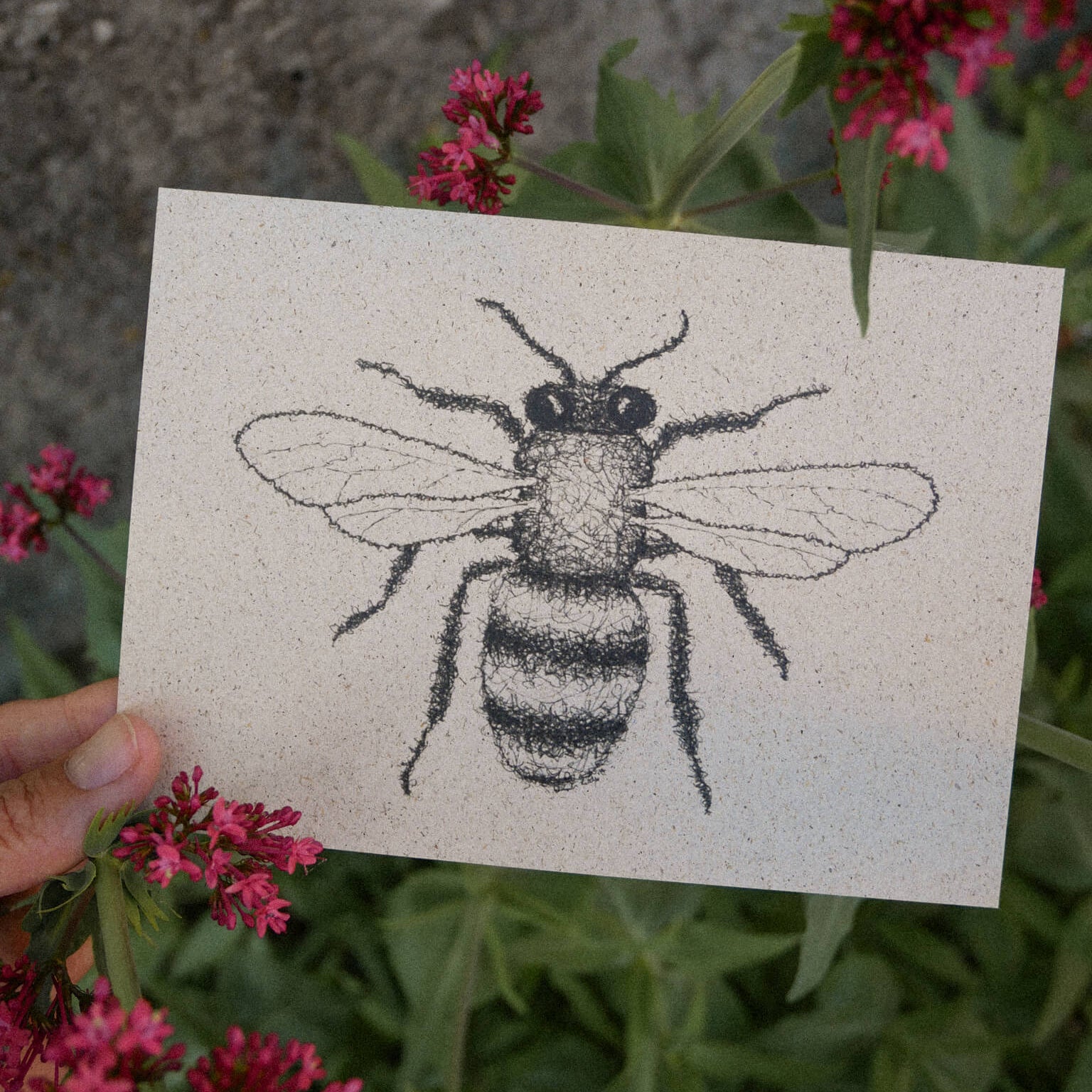 Eine Hand hält die Zeichnung einer Biene auf weißem Papier inmitten von grünen Blättern und leuchtend rosa Blüten im Freien.