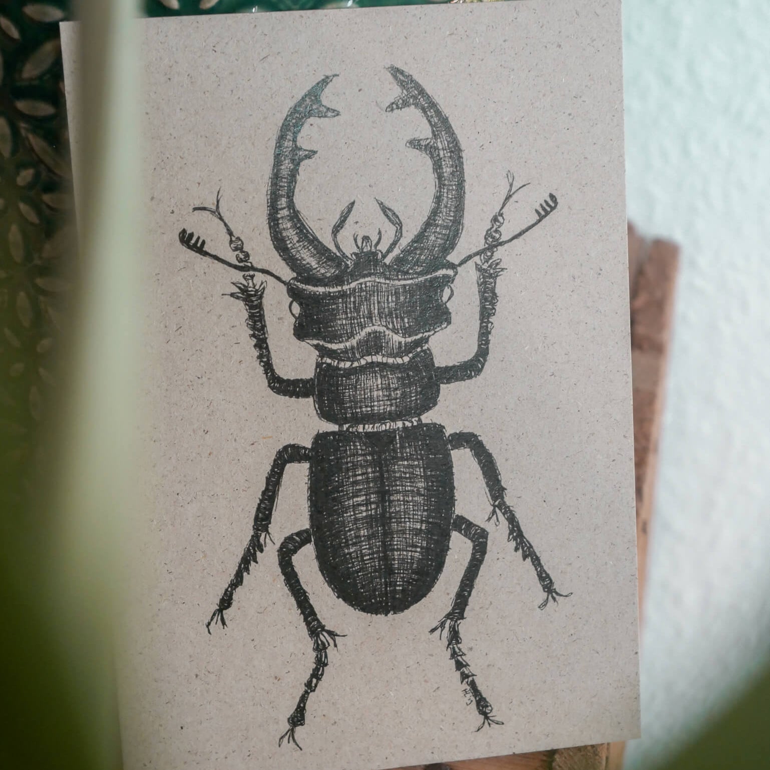 Detaillierte Zeichnung eines Hirschkäfers in schwarzer Tinte auf einem beigen Blatt Papier, aufrecht stehend, mit teilweise sichtbarem Grün im Vordergrund.