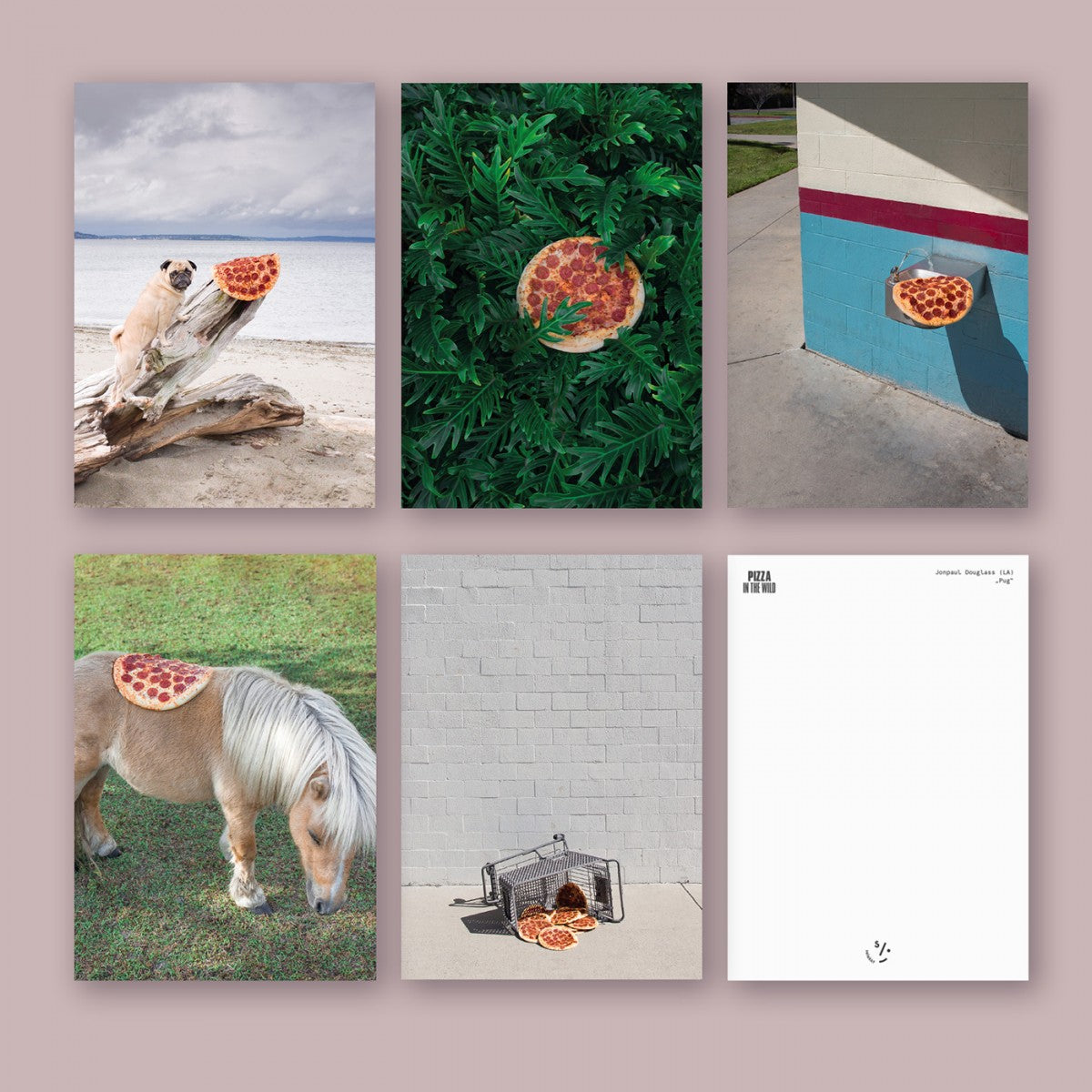 Selekkt Postkarte "Pizza In The Wild"