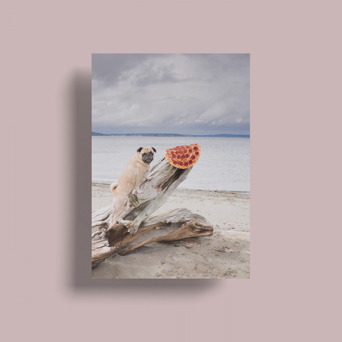Selekkt Postkarte "Pizza In The Wild"