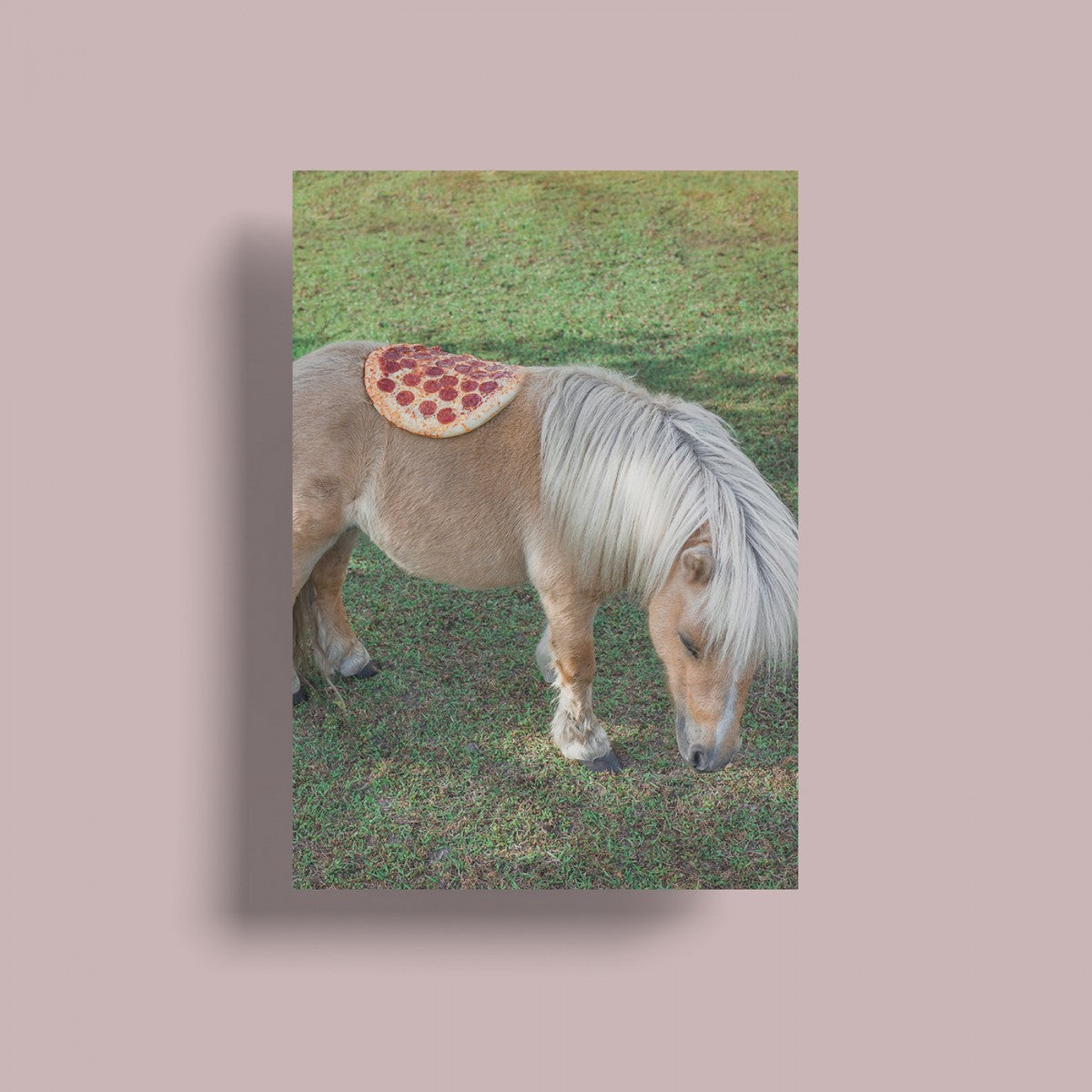 Selekkt Postkarte "Pizza In The Wild"