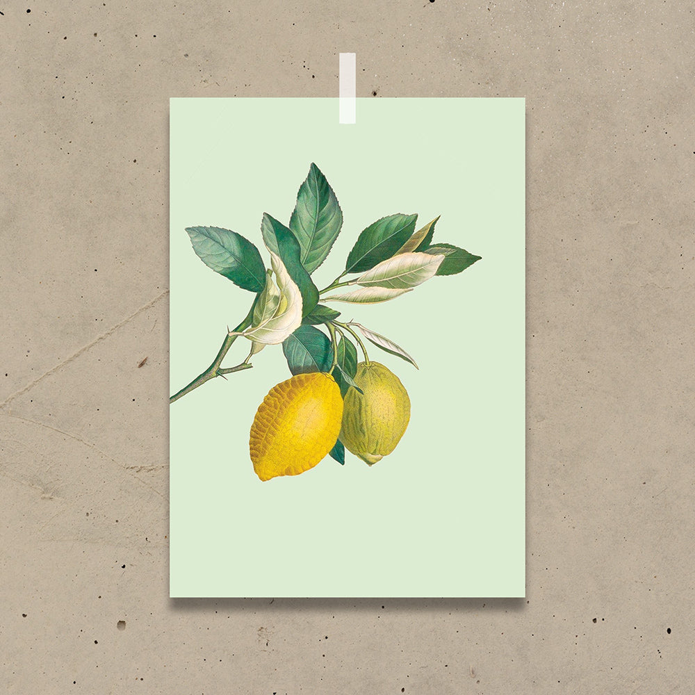 30x40 A3 Poster - Dritte Wahl