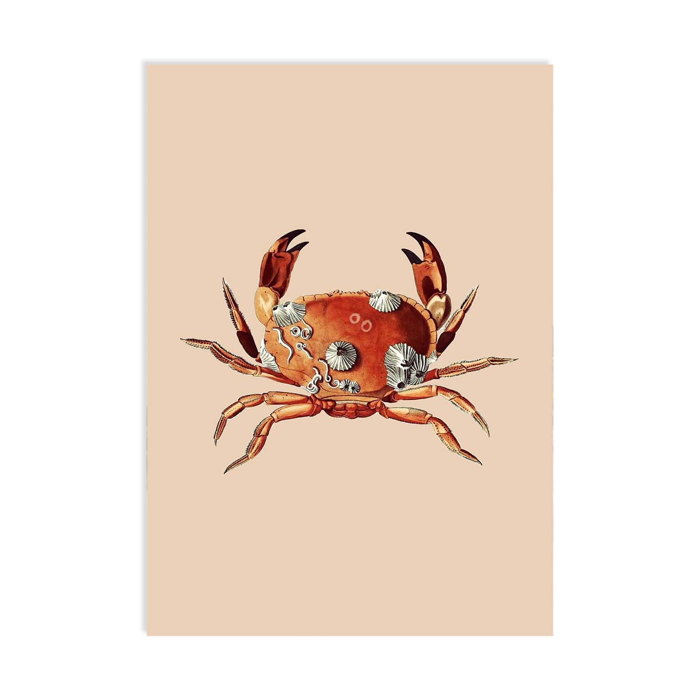 30x40_Postkarten_10er_Set_07