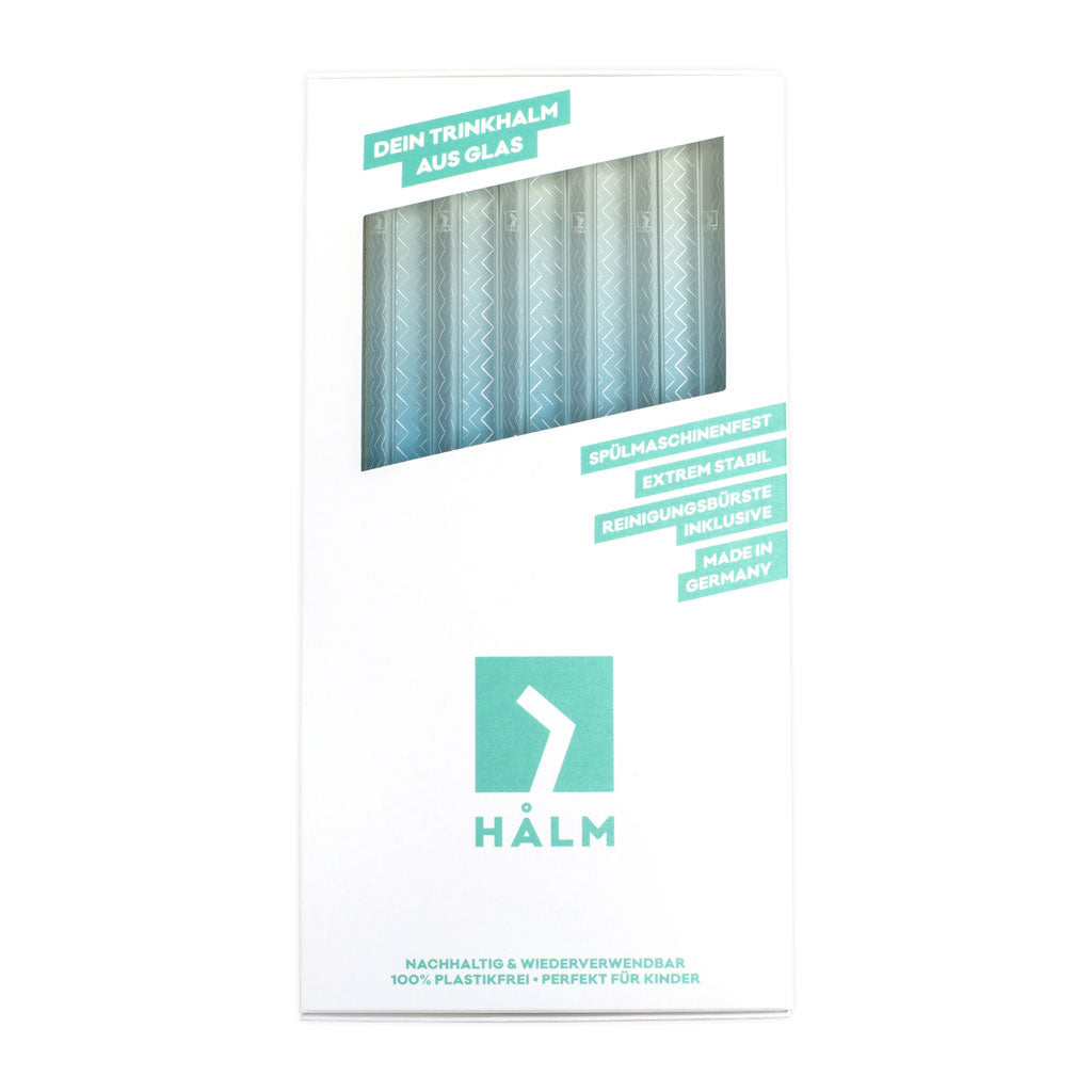 HALM Glasstrohhalm Set 6er 23cm gerade (2)