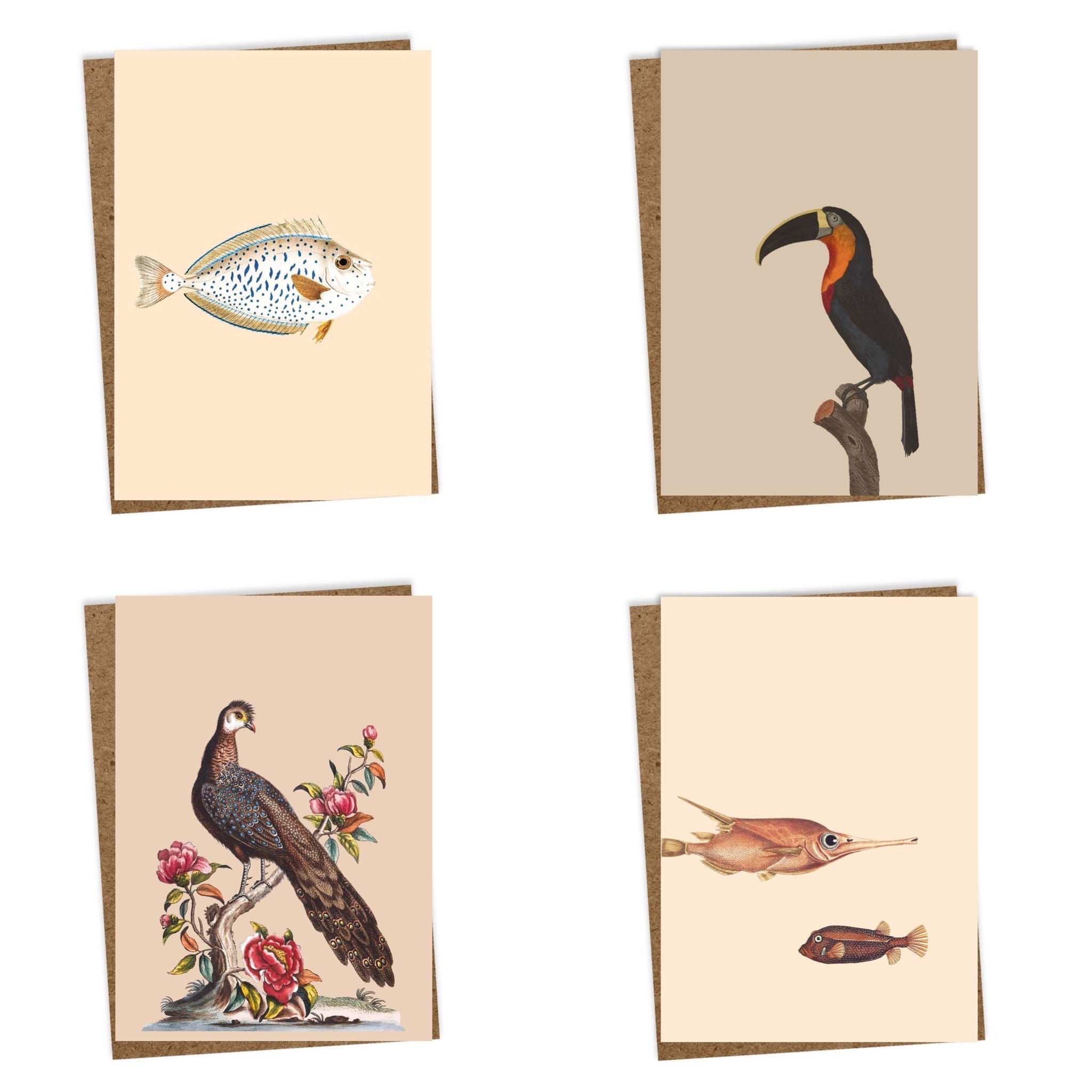 30x40 Grußkarten 8er Set "Tiermotive"