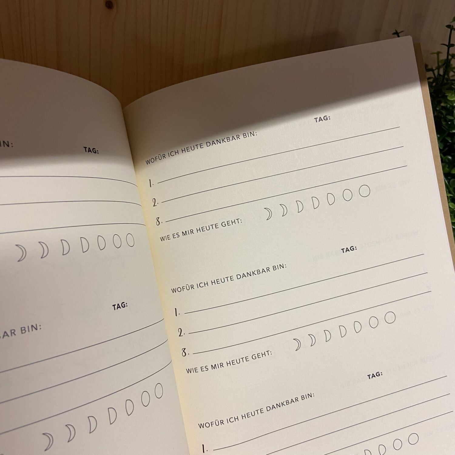 Projekt Stil Achtsamkeitsbuch-Achtsamkeitsblock (A5)