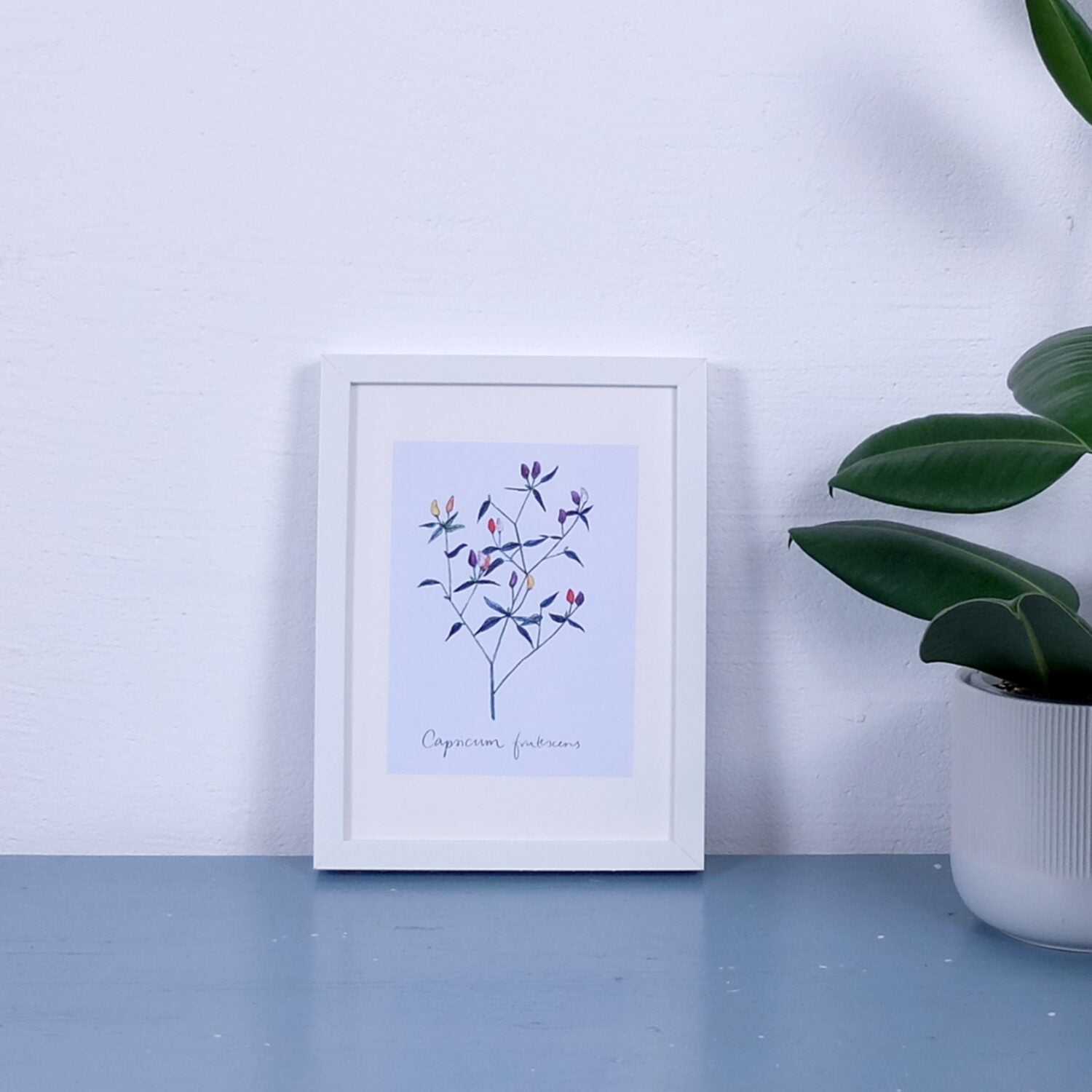 Ein gerahmtes Bild mit einer botanischen Illustration steht neben einer Pflanze auf einem blauen Tisch.