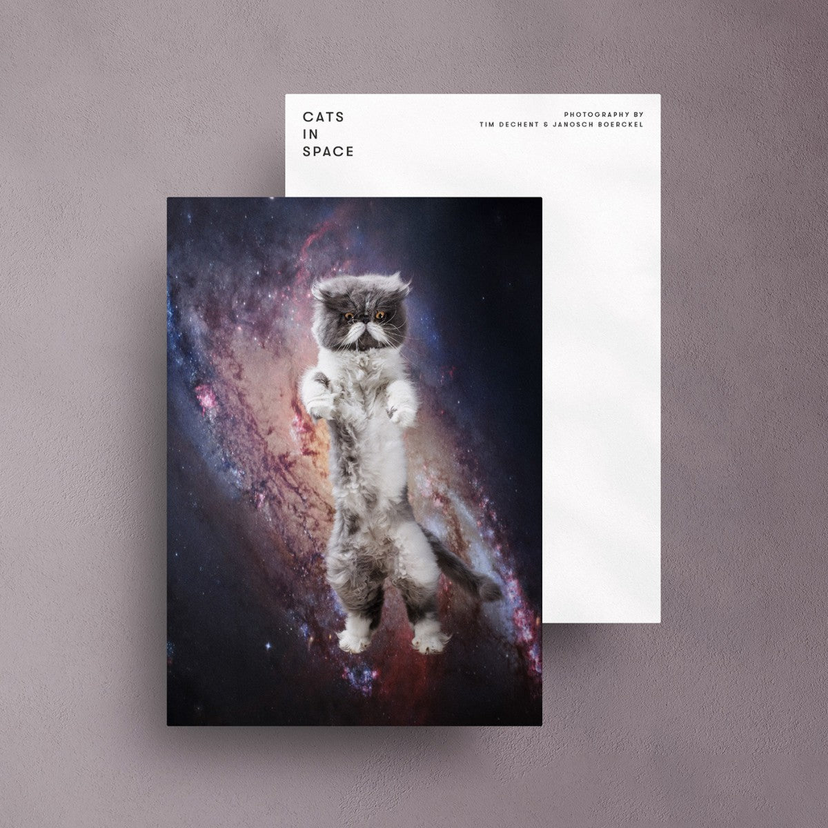 Selekkt Postkarte "CATS IN SPACE" #A Papeterie