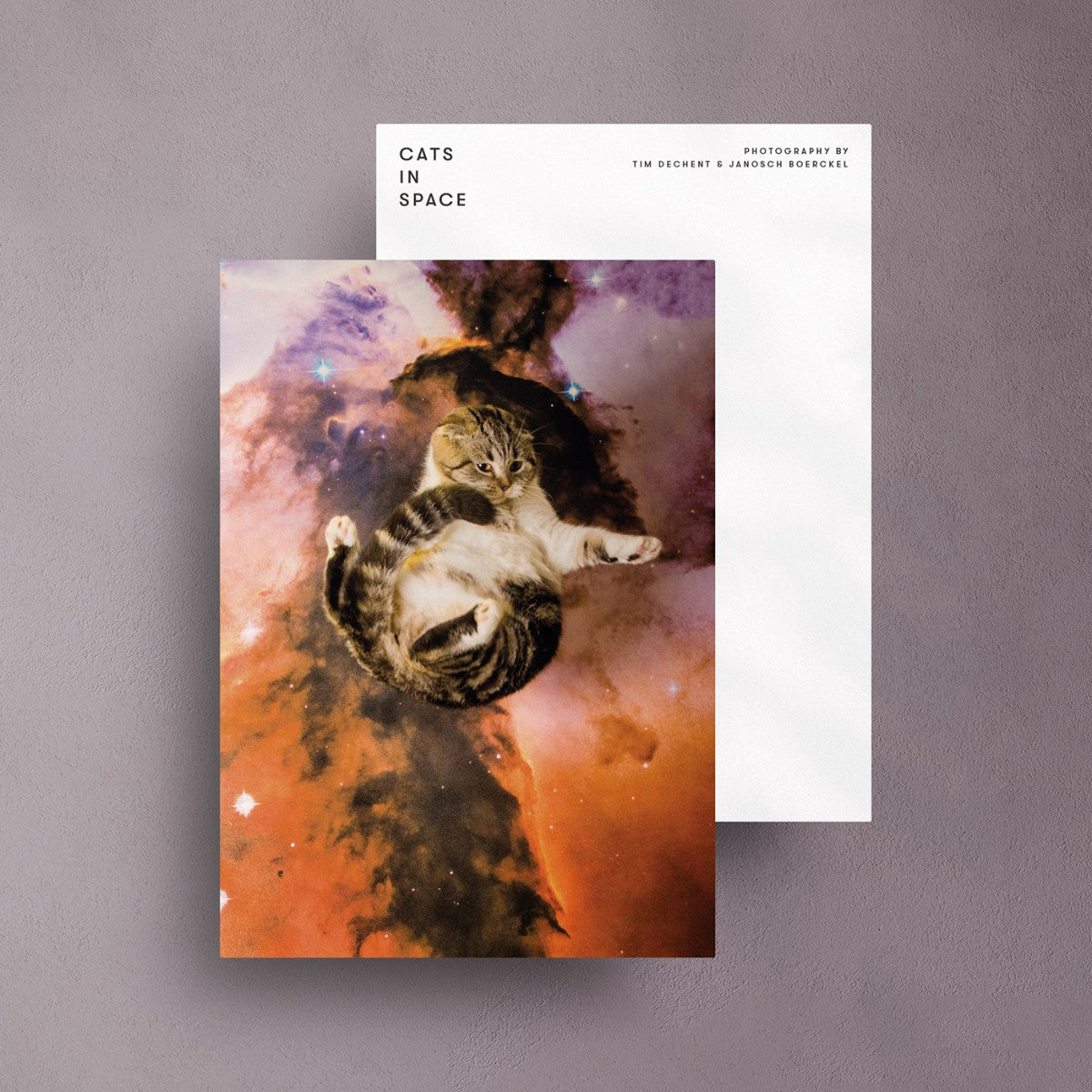 Selekkt Postkarte "CATS IN SPACE" #B Papeterie