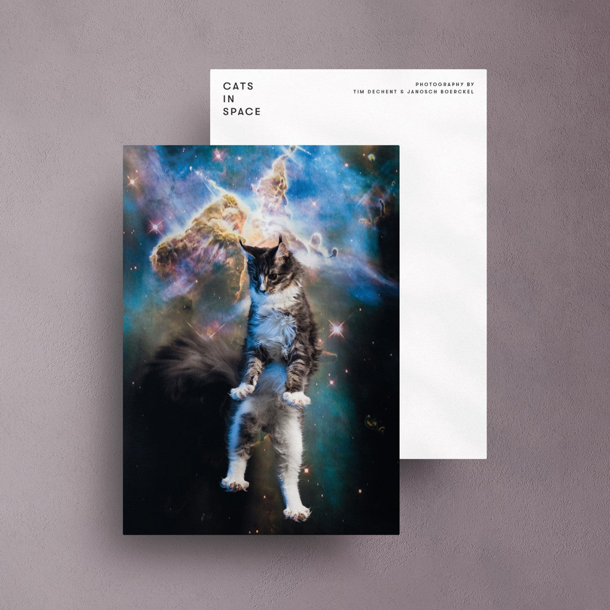 Selekkt Postkarte "CATS IN SPACE" #C Papeterie